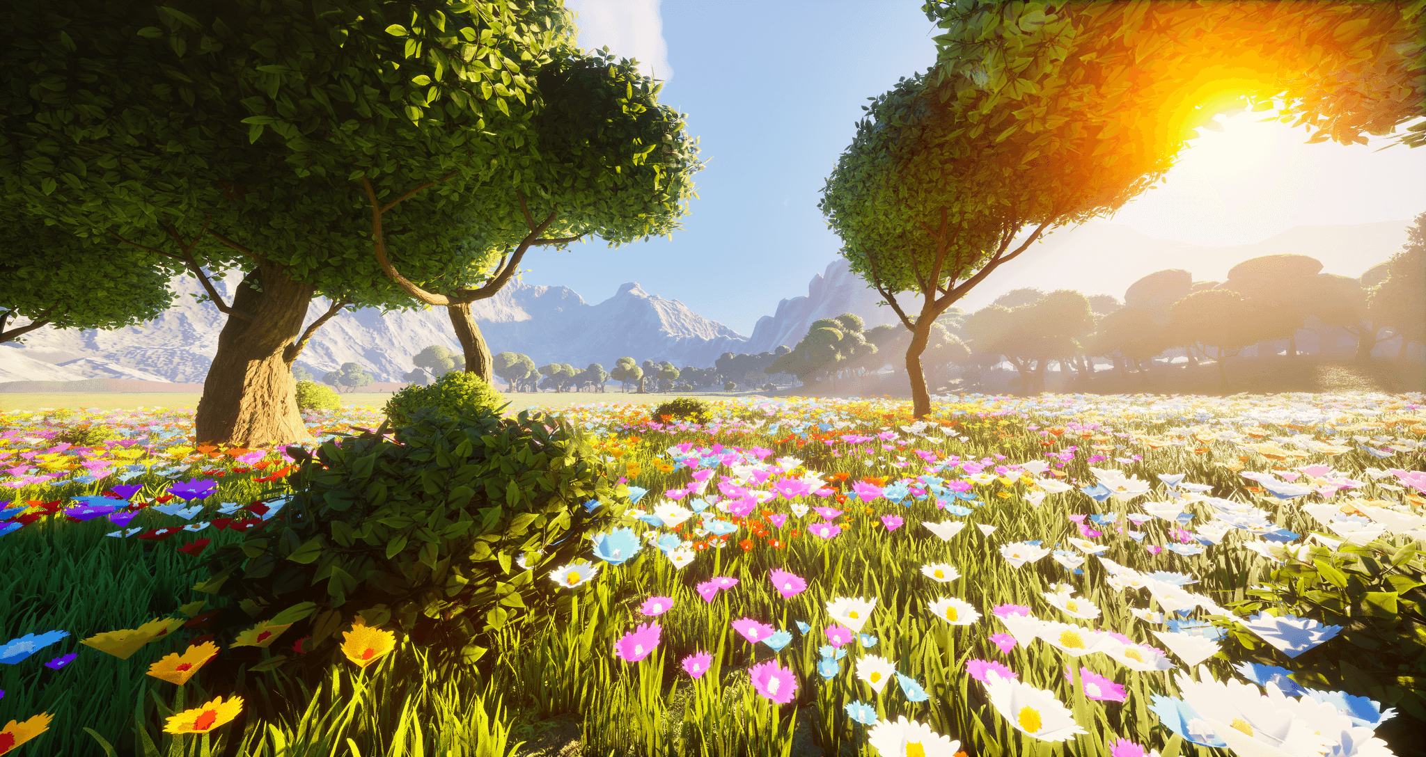 Sunlit flower meadow