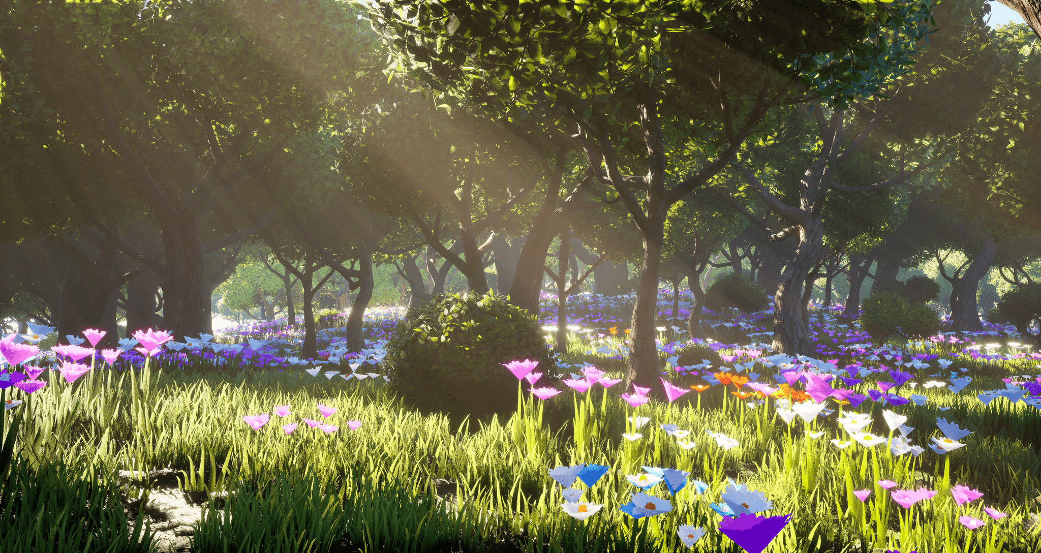 Sun-dappled forest