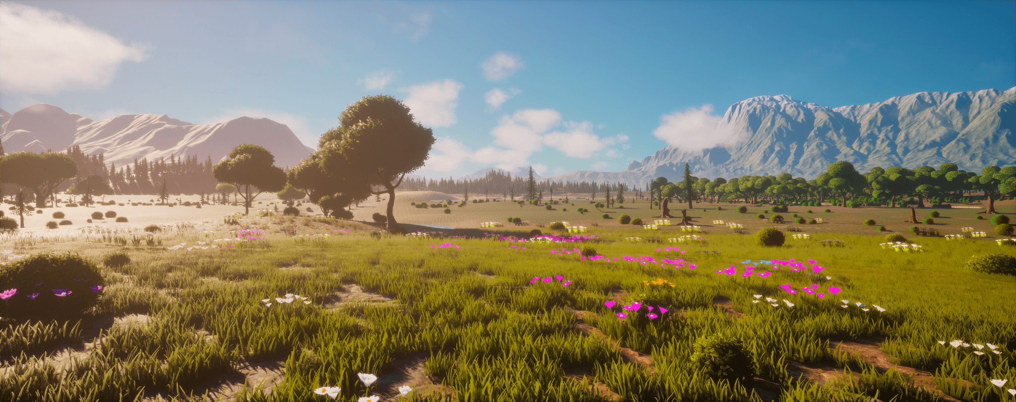 Wildflower meadow